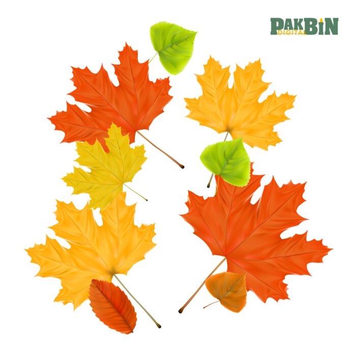 450+ Autumn Clipart Bundle | Fall Transparent PNGs - Image 1
