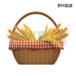 450+ Autumn Clipart Bundle | Fall Transparent PNGs - Image 7