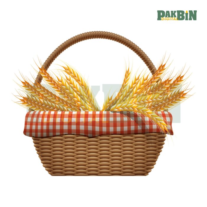 450+ Autumn Clipart Bundle | Fall Transparent PNGs - Image 7