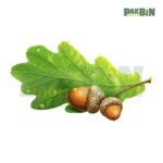 450+ Autumn Clipart Bundle | Fall Transparent PNGs - Image 6