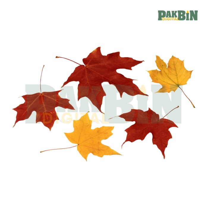 450+ Autumn Clipart Bundle | Fall Transparent PNGs - Image 5