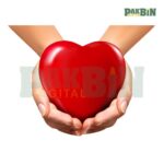 Hands Clipart PNG Bundle | Realistic Gesture Pack - Image 5