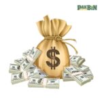 Money Clipart Bundle | High-Res Transparent PNGs