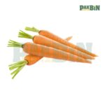 230+ Vegetable Clipart PNG Bundle | High-Quality Transparent Pack - Image 7