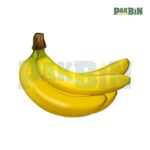 560+ Fruit Clipart PNG Bundle | High-Resolution Pack - Image 5