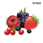 560+ Fruit Clipart PNG Bundle | High-Resolution Pack - Image 2