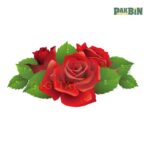 900+ Rose Clipart Bundle | High-Resolution Flower PNG Pack - Image 8