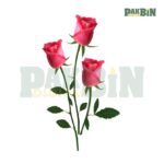 900+ Rose Clipart Bundle | High-Resolution Flower PNG Pack - Image 7