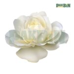 900+ Rose Clipart Bundle | High-Resolution Flower PNG Pack - Image 6