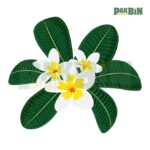 1200+ Flower Clipart Mega Bundle | High-Res Floral PNG Pack - Image 2