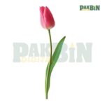 1200+ Flower Clipart Mega Bundle | High-Res Floral PNG Pack - Image 8