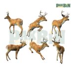 130+ Animal Clipart Mega Bundle | Cute High-Res PNG Pack - Image 2