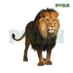 130+ Animal Clipart Mega Bundle | Cute High-Res PNG Pack - Image 4