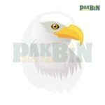 150+ Bird Clipart PNG Bundle | High-Res Transparent Pack - Image 2