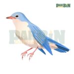 150+ Bird Clipart PNG Bundle | High-Res Transparent Pack - Image 4