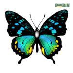 250+ Butterfly PNG Bundle | High-Quality Clipart Pack